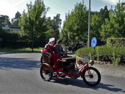 2019-Parel der Voorkempen-Bruno from Belgium